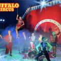 Spectacle 2024 - Buffalo Circus - Bourgueil