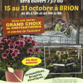 Folliot Fleurs - Spécial Toussaint - Brion (49)